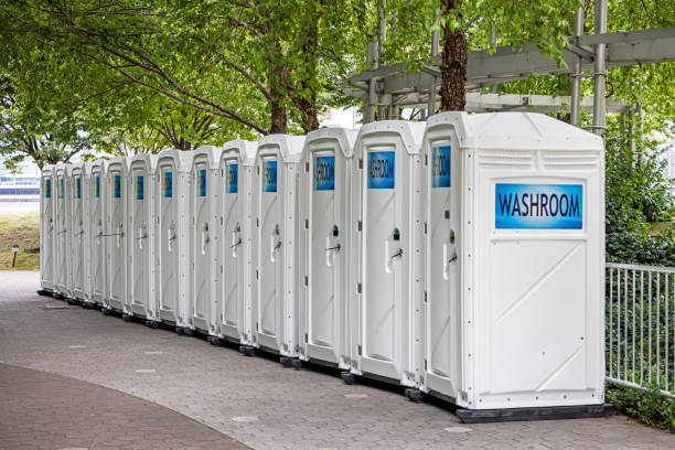 Portable Toilet Options We Offer in Wabasha, MN